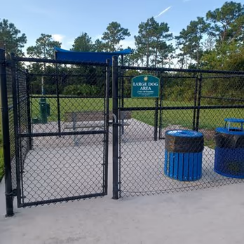 Young Pine Dog Park